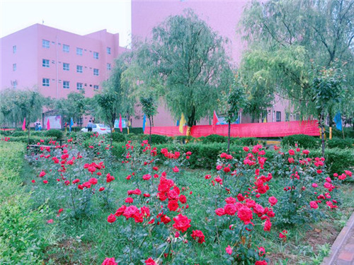 陕西航空医科学校