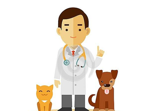 【西安兽医学校】西安有毕业可以考证的兽医学校吗?