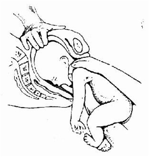 吃什么食物能助产？西安护理学校给你答案！