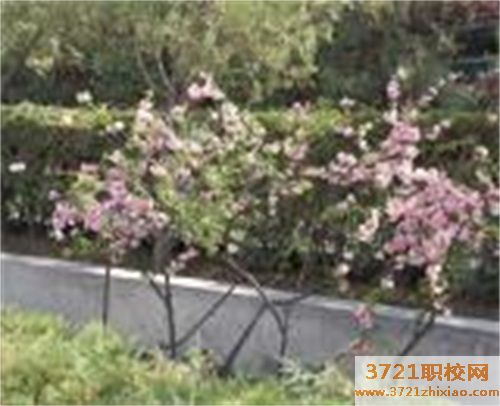 甘肃省水利中专水电学校招生条件