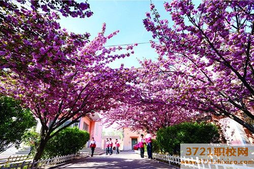 山东华德职业中等专业学校招生要求有什么