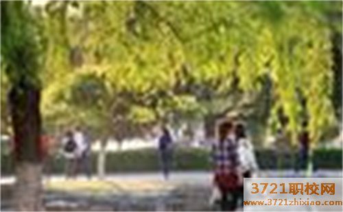 济南科技中等职业学校有什么专业