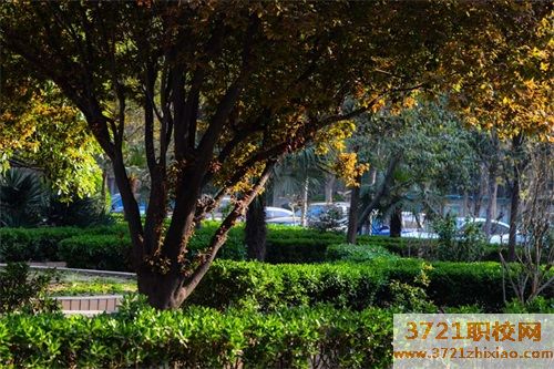 河南省工业设计学校有什么专业