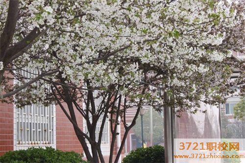 【郑州技师学院】郑州财经技师学院招生要求有哪些