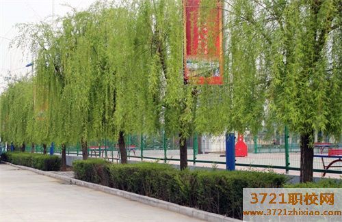 【渭南中专学校】渭南西北新世纪职业中等学校的招生电话和联系方式