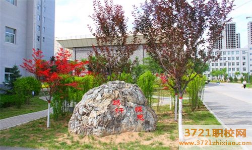 彬县职教中心有什么专业