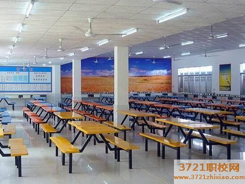 青岛艺术学校食堂情况