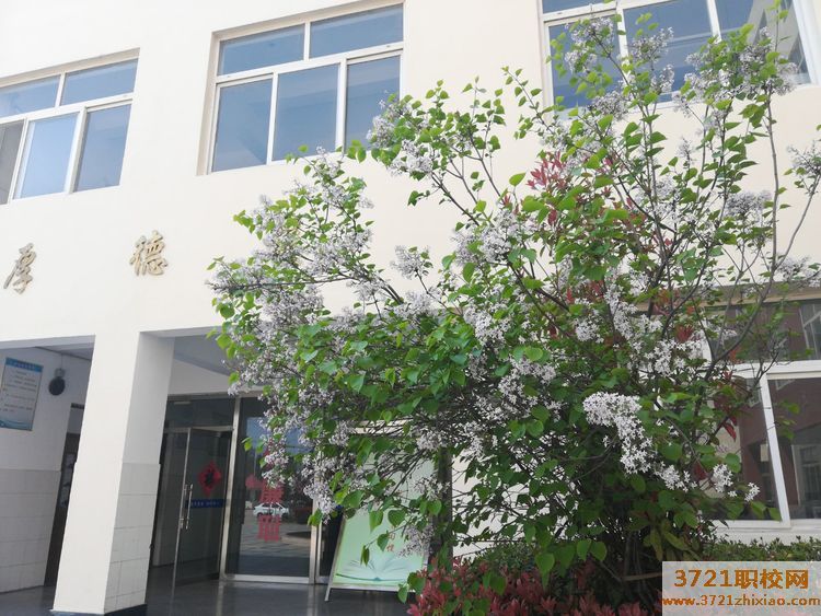 青岛建国职业学校学费及收费标准