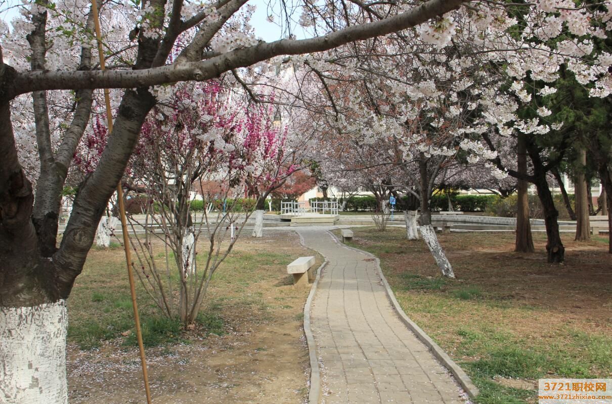 平度市技师学院招生要求有什么