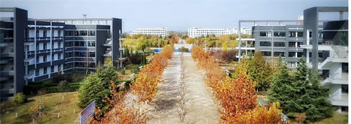 【青岛技师学院】青岛市技师学院网站网址是哪个