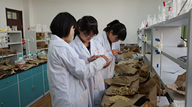 青岛经济职业学校网站网址是多少