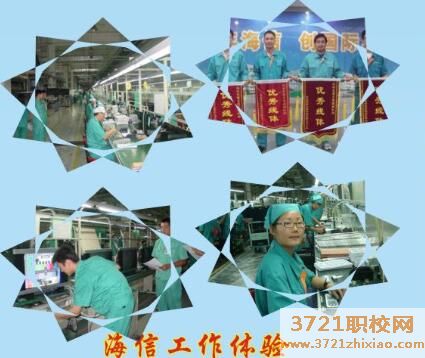 青岛海信中心联校2023年招生简章