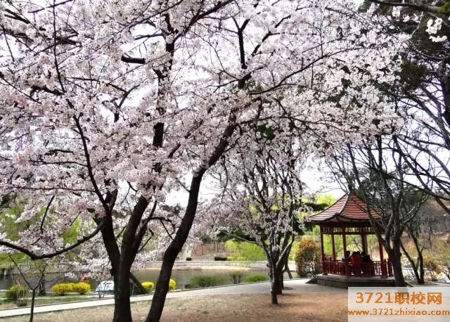 【青岛园林学校】青岛市园林技校招生电话和联系方式