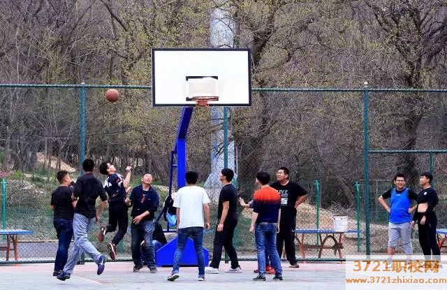 青岛市园林技校都有什么专业