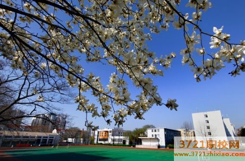 山东省青岛卫生学校专业都有什么