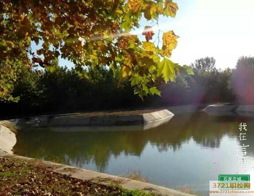 石家庄现代科技中等专业学校专业都有哪些