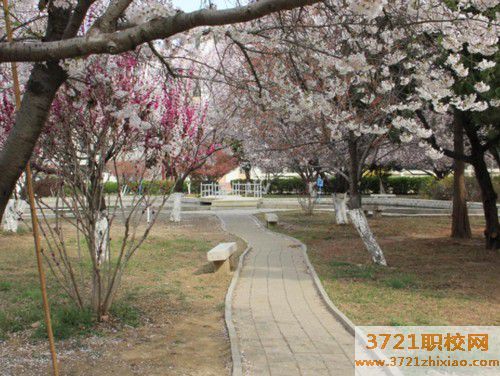 青岛有几个汽车美容学校