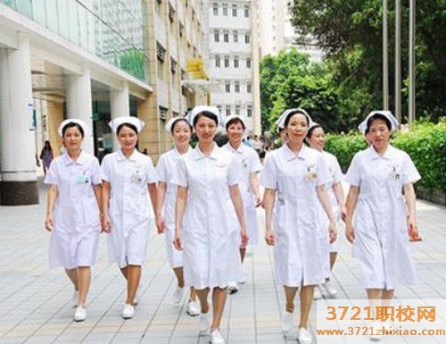 石家庄高护学校有哪些