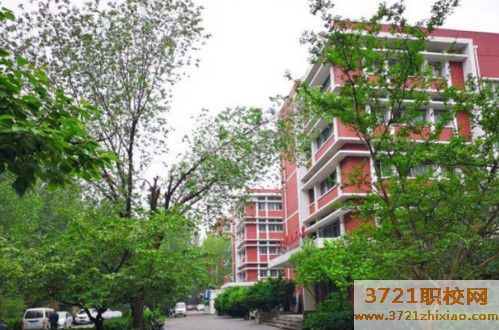 济南哪个学校有空乘专业