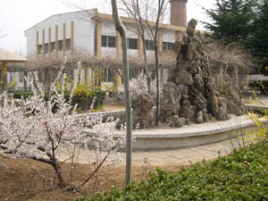 烟台电子工业学校都有哪些专业