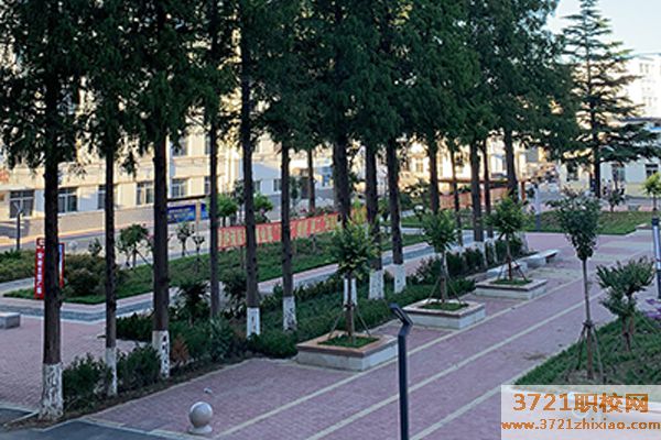 烟台中专港湾学校招生简章