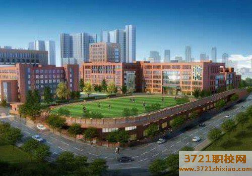 青岛海信中心联校办学特色