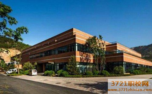 青岛海信中心联校办学特色