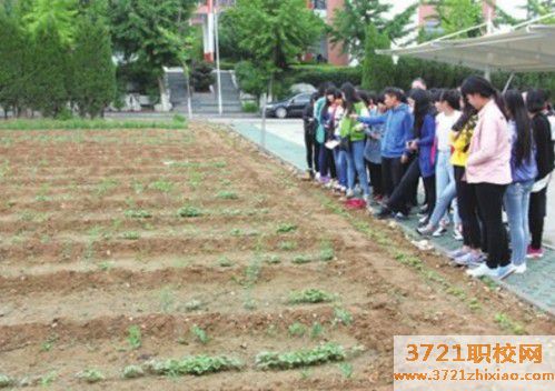 【济南农业学校】山东医药技师学院中草药种植专业