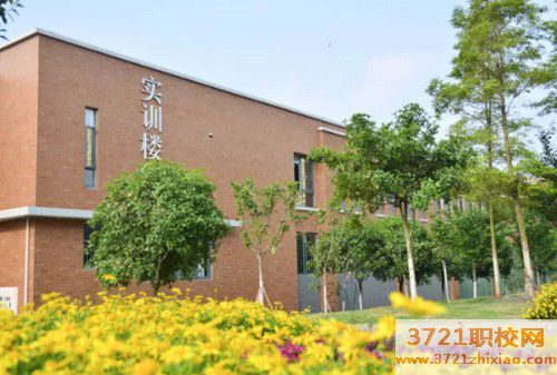 泰安天时达汽车培训学校 