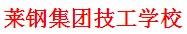 莱芜钢铁集团有限公司技工学校