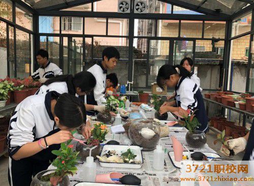 【广州园林学校】广州市技师学院园林技术专业