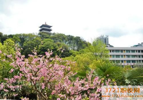 阳曲县高级职中专业中学校学校电话