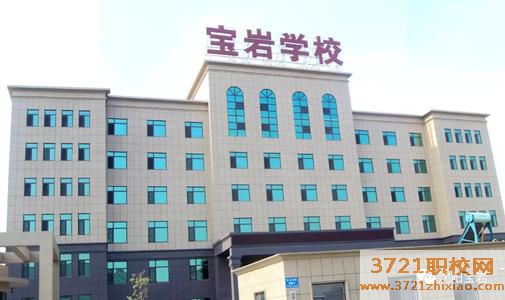 沈阳宝岩艺术学校网站网址是多少