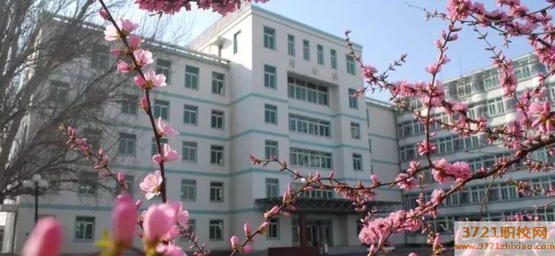 沈阳市中中专医药学校网站网址