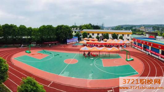 武汉市艺术学校网站网址是多少