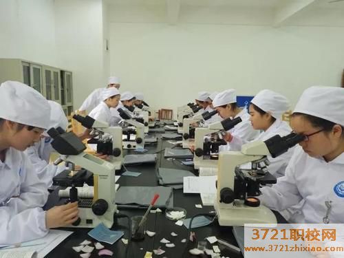 长沙博雅卫生中等专业学校网站网址是多少