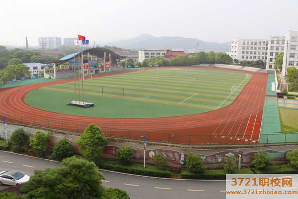 湖南国医职业技术学校网站网址是多少