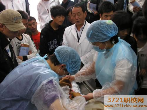 畜牧站能给宠物看病吗