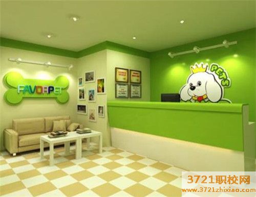 宠物店一年利润怎么样、宠物医院一年能赚多少