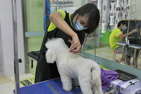 宠物美容店赚钱吗