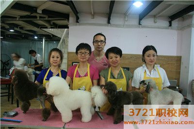 宠物美容师难学吗