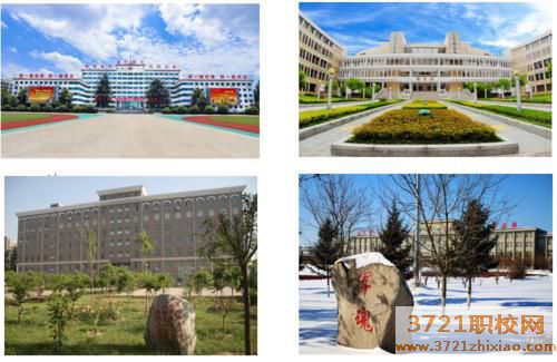 合肥中专业学校 招生条件