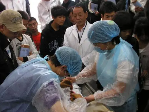 济南成人想学兽医怎么开始