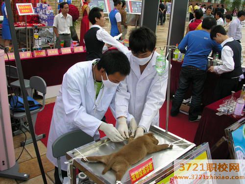 济南初中毕业能上兽医学校