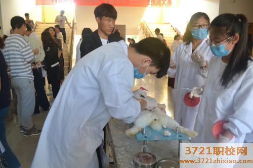 济南哪里有畜牧兽医培训班