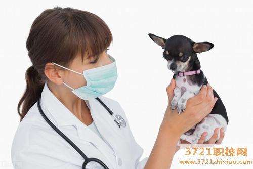 济南学兽医去哪里比较好