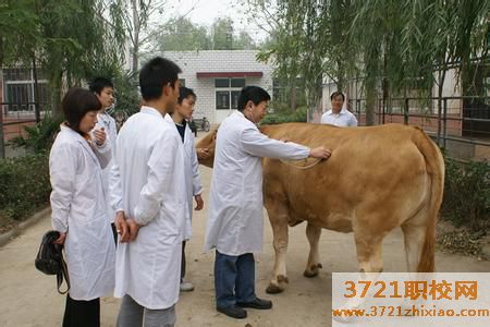 济南成人畜牧兽医培训班