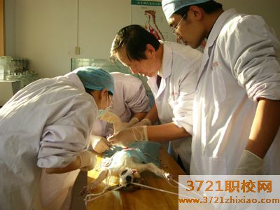 济南畜牧兽医培训班