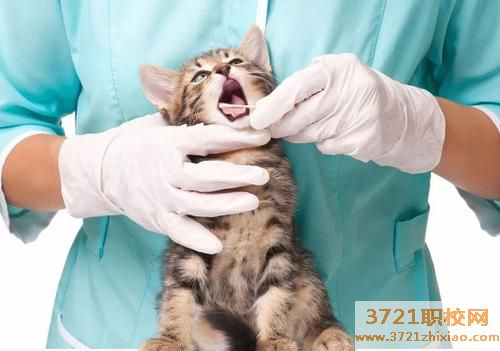 济南畜牧业养殖培训