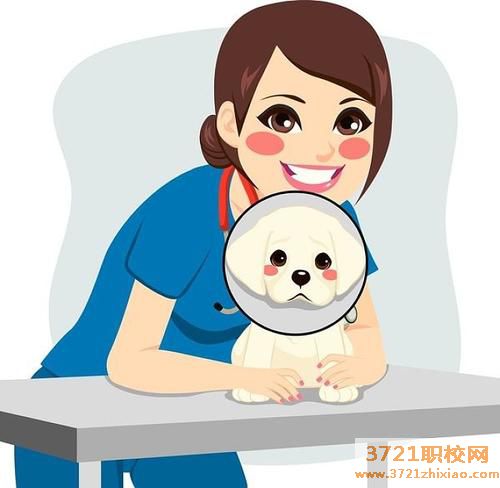 济南零基础学兽医